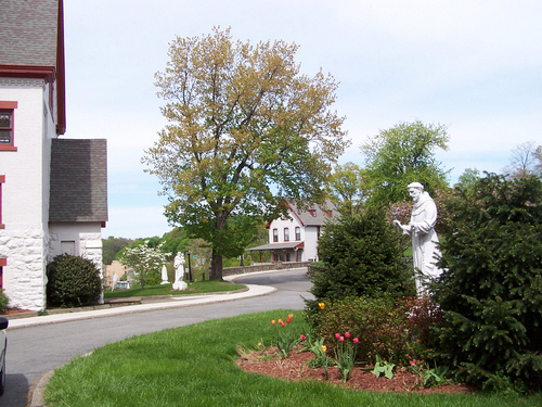 The Franciscan Missionary Sisters of the Sacred Heart